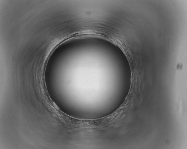 X0000090460289200707201339