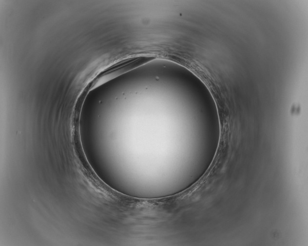 X0000090460290200707201339