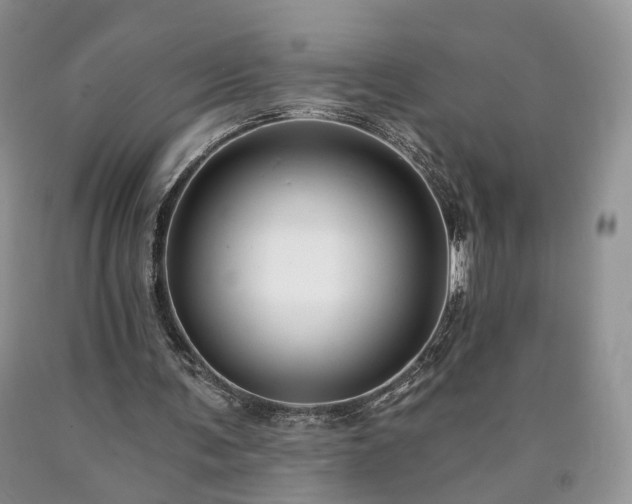 X0000090460291200707201339