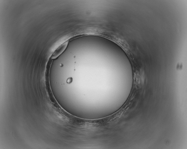 X0000090460292200707201339