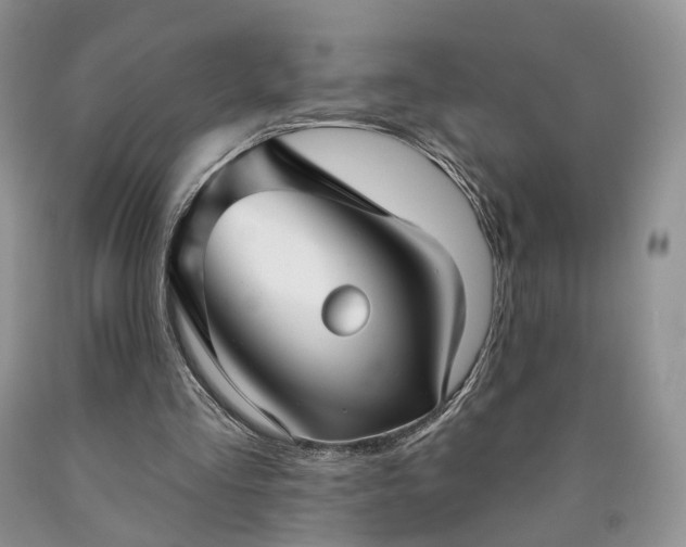 X0000090460293200707201339