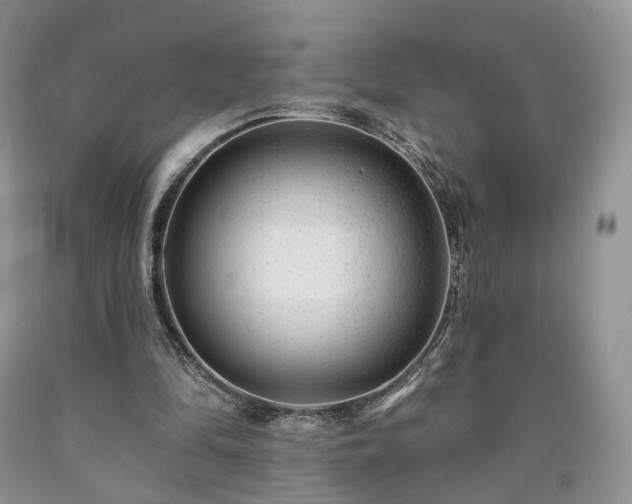 X0000090460294200707201339