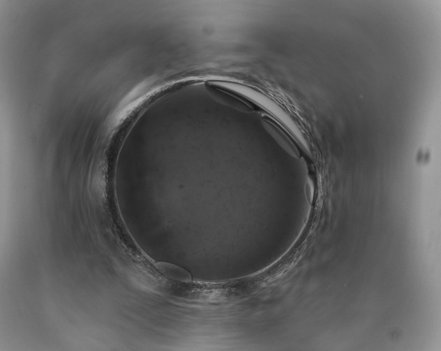 X0000090460295200707201339