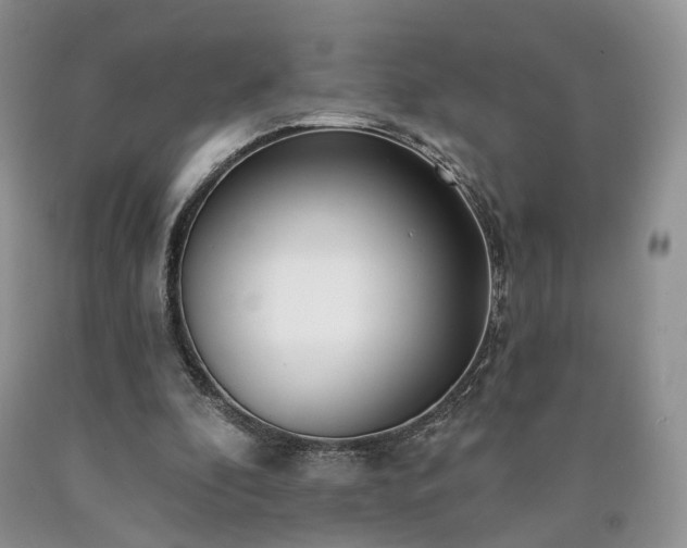 X0000090460296200707201339