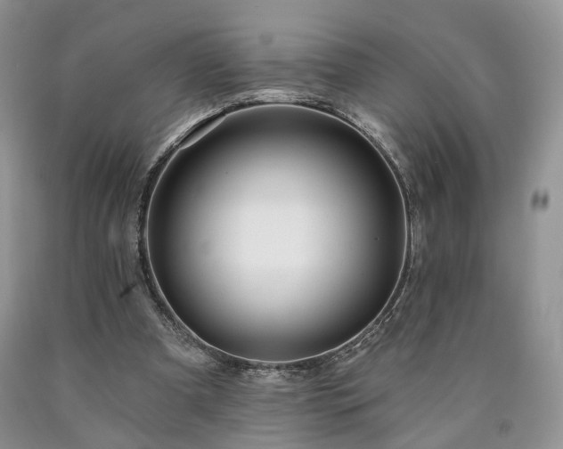 X0000090460297200707201339
