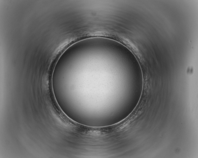 X0000090460298200707201339