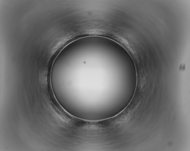X0000090460299200707201339