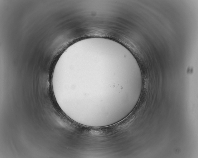 X0000090460302200707201339
