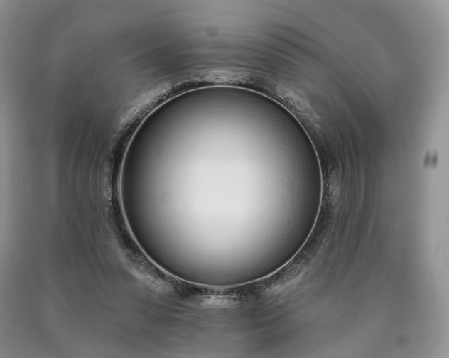 X0000090460303200707201339
