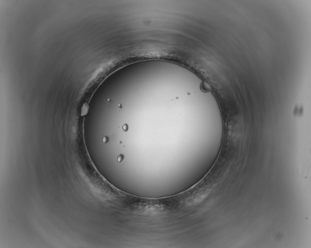 X0000090460304200707201339