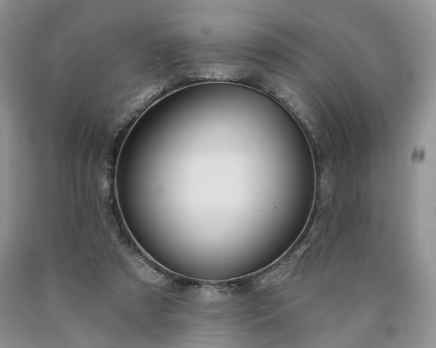 X0000090460305200707201339