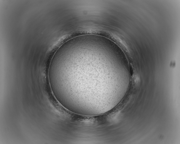 X0000090460306200707201339