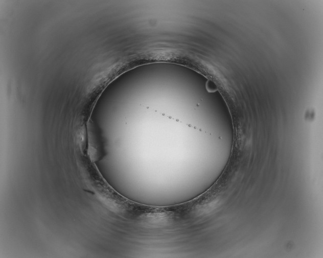 X0000090460307200707201339