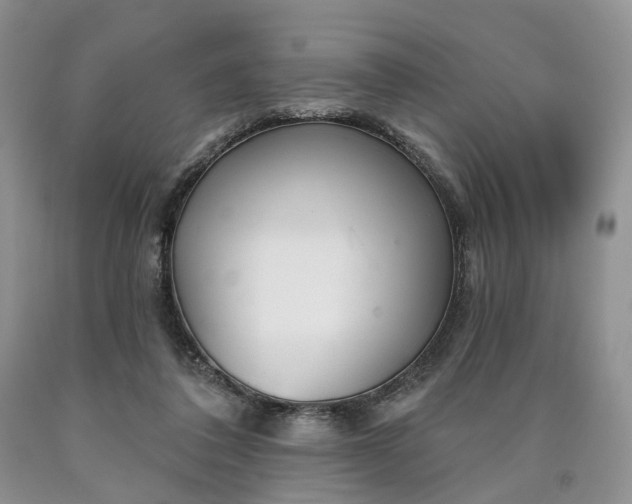 X0000090460308200707201339