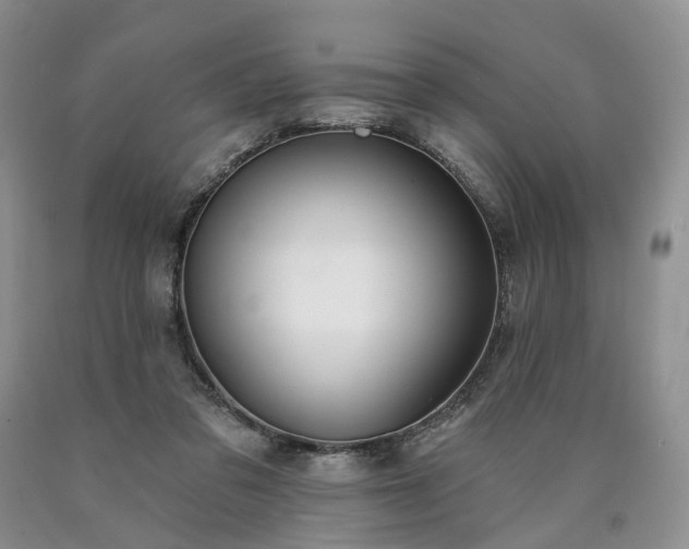 X0000090460309200707201339
