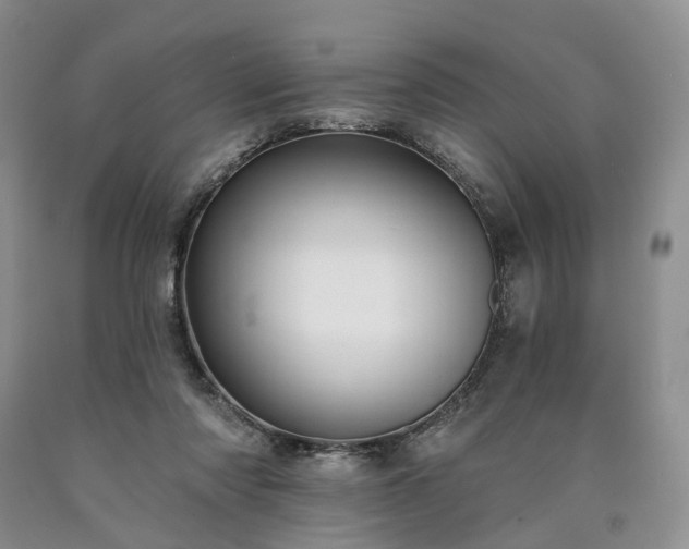 X0000090460310200707201339