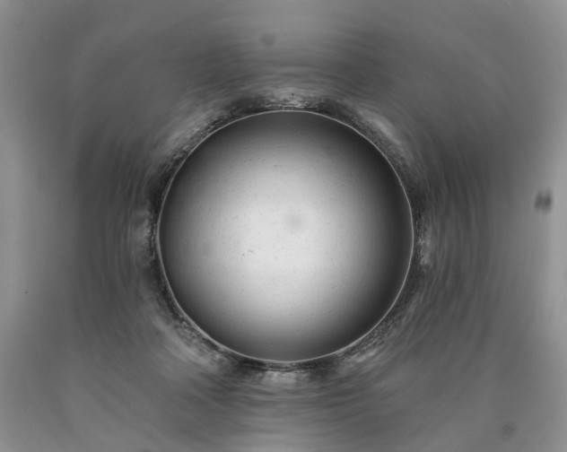 X0000090460314200707201339