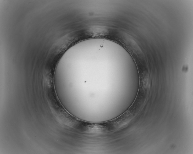 X0000090460316200707201339