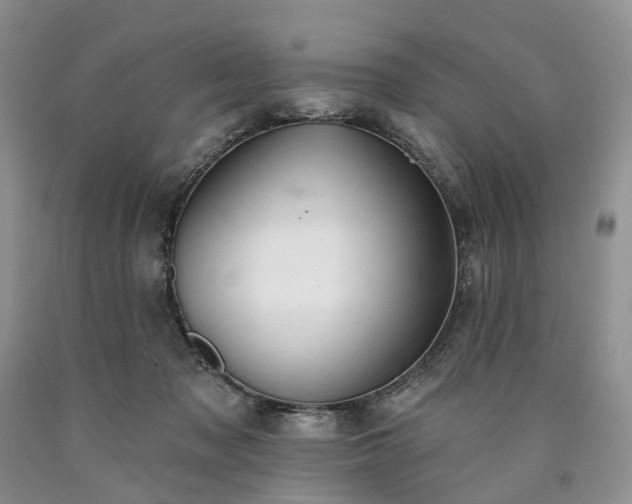 X0000090460317200707201339