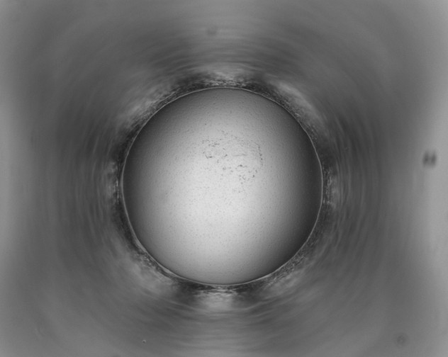 X0000090460318200707201339