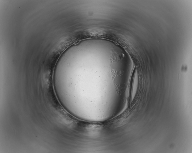 X0000090460319200707201339