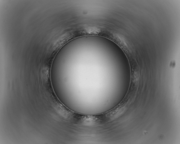X0000090460321200707201339