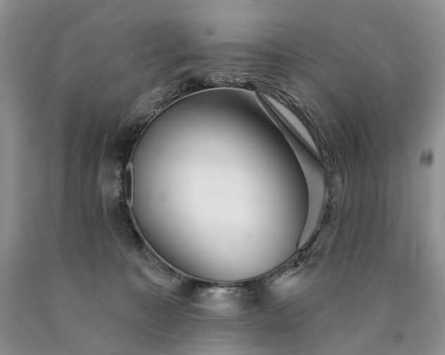 X0000090460323200707201339