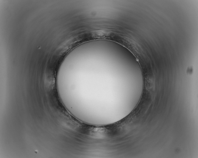 X0000090460324200707201339