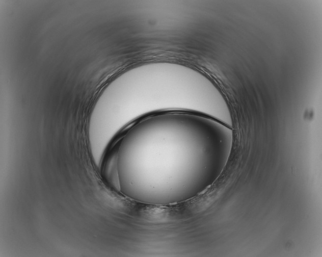 X0000090460325200707201339