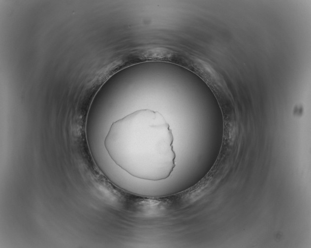 X0000090460326200707201339