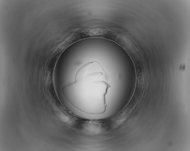 X0000090460327200707201339