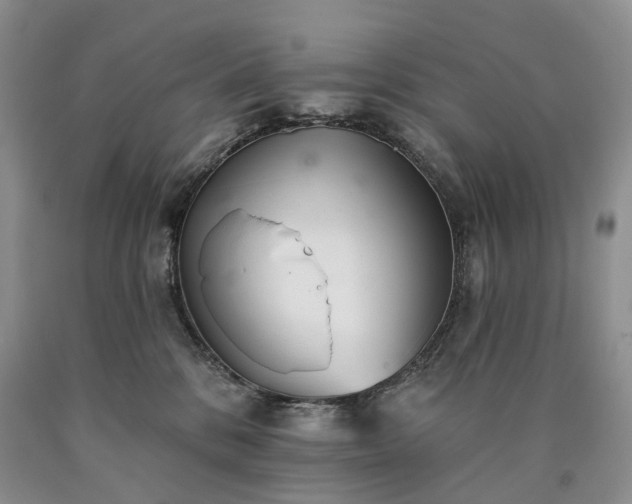 X0000090460328200707201339