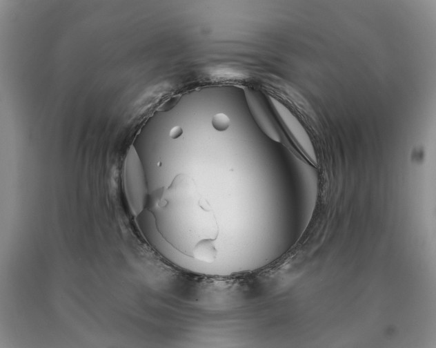 X0000090460329200707201339