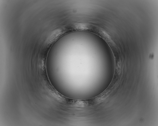 X0000090460330200707201339