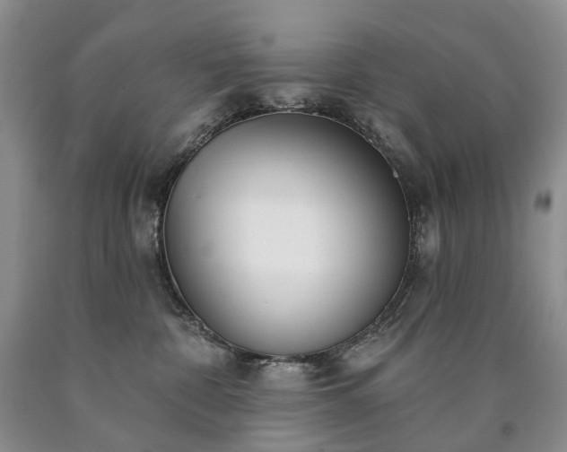 X0000090460332200707201339
