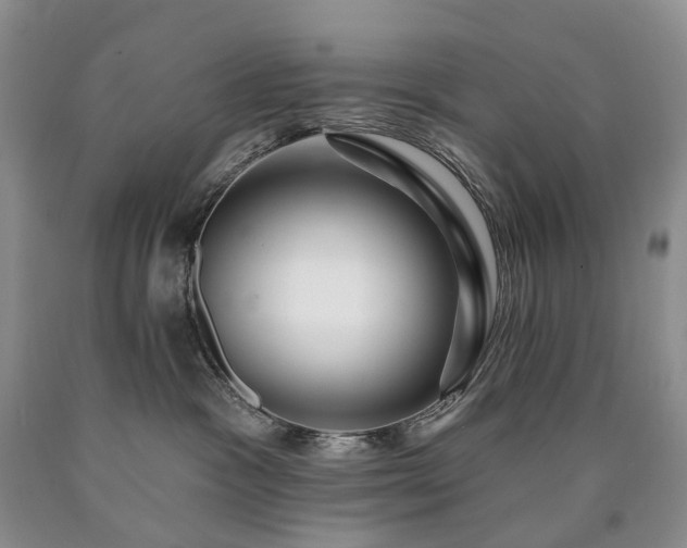 X0000090460333200707201339