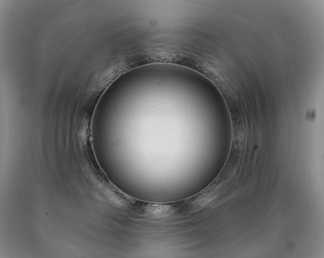 X0000090460334200707201339