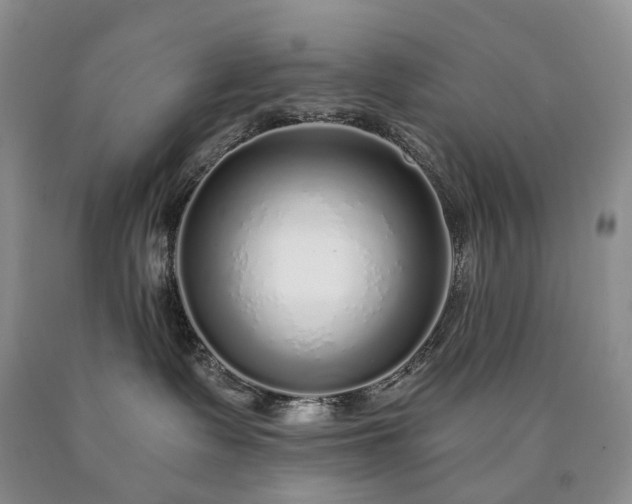 X0000090460335200707201339