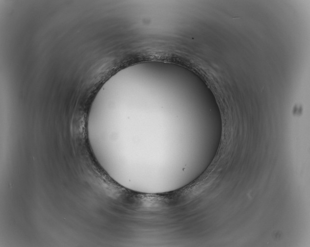 X0000090460336200707201339