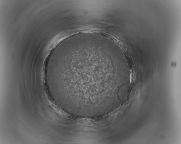 X0000090460339200707201338