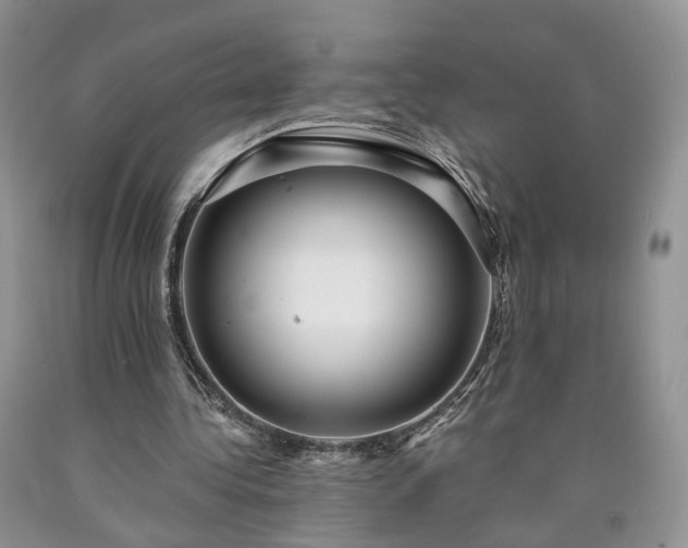 X0000090460340200707201338