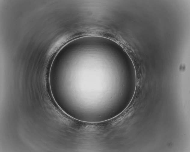 X0000090460341200707201338