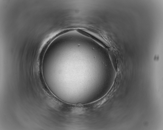 X0000090460342200707201338