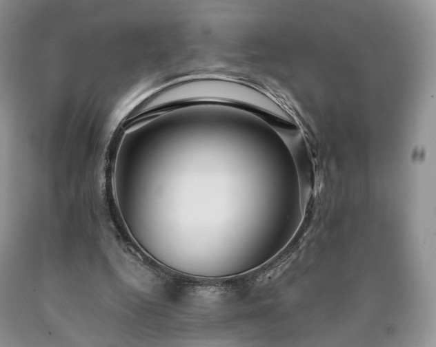 X0000090460344200707201338