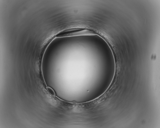 X0000090460345200707201338