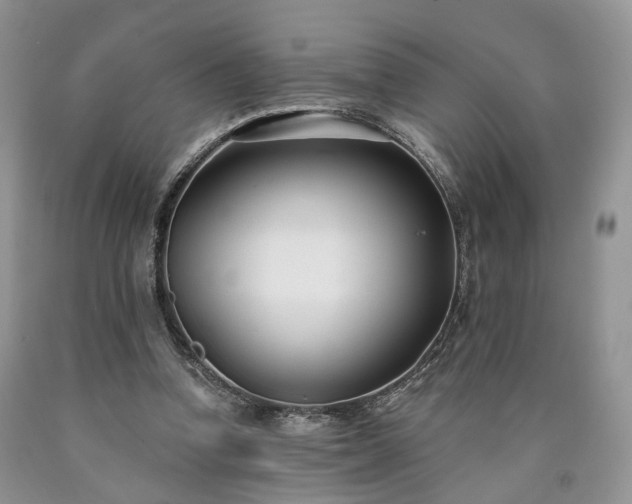 X0000090460346200707201338