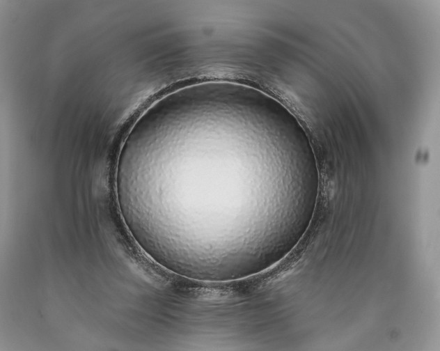 X0000090460347200707201338