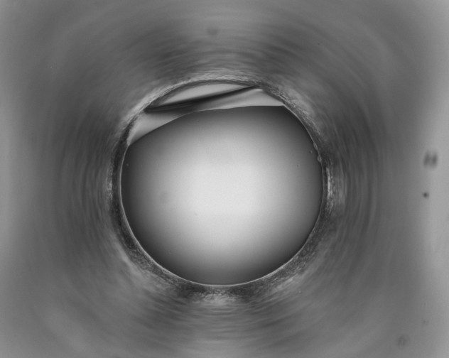 X0000090460348200707201338