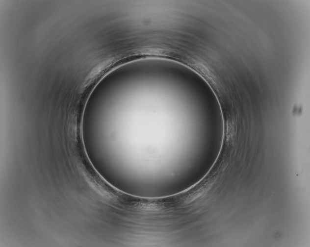 X0000090460349200707201338