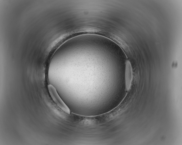 X0000090460350200707201338